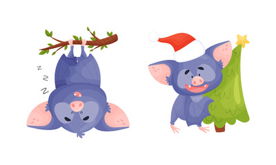 Fototapeta premium Funny Purple Bat Character Hanging Upside Down on Tree Branch and Carrying Fir Tree Vector Set
