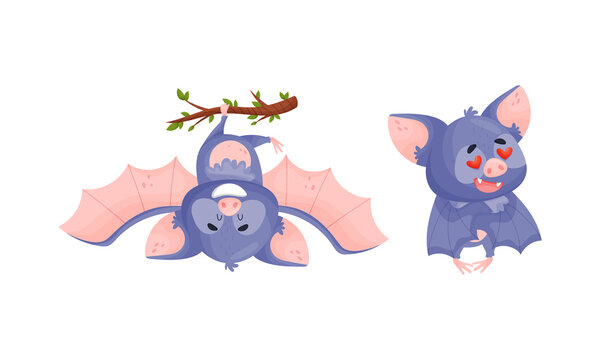 Funny Purple Bat Character Hanging Upside Down on Tree Branch and Feeling Love Vector Set