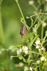 Beautiful things don't ask for attention