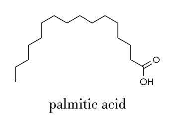 Palmitic (hexadecanoic) acid saturated fatty acid molecule. Skeletal formula.