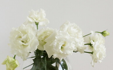 Flowers background.White eustoma flowers frame on beige background top view, copy space. Minimal floral card template.