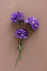 Flowers background.Purple eustoma flowers top view on brown  background.Floral card. Poster