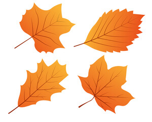 Set of autumn leaves