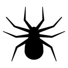 Spider silhouette decoration photo for halloween party