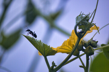 Beautiful things don't ask for attention