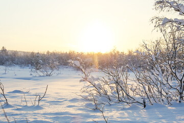 winter nature landscape at a sunny day