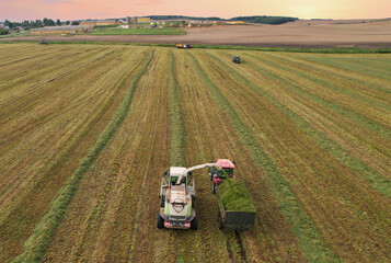 Obraz premium Forage harvester during grass cutting for silage in field. Harvesting biomass crop. Self-propelled Harvester for agriculture industry. Tractor work on silage season. Farm equipment and farming machine