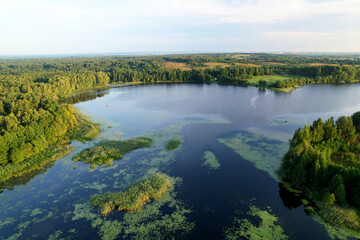 Lake among green trees in the countryside. Aerial view of a large lake or river against a blue sky. Ecology and wetlands concept