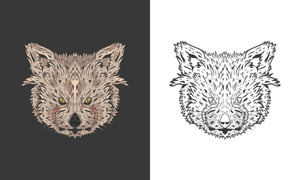 Illustration vector graphic of red panda. Graphic, color, hand-drawn  of a red panda on a black background. Vector engraved illustration for logo, label, tattoo or T-shirts, and coloring book