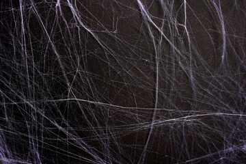 white spider web texture horror black background