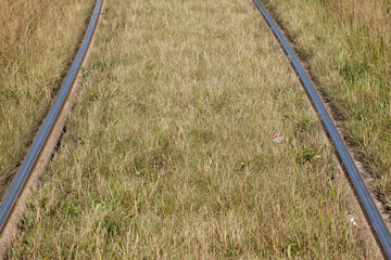 Fragment of tramway tracks overgrown with grass.