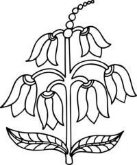 Black line flower twig, bellflowers on stem with leaves, outline floral vector decorative botanical illustration