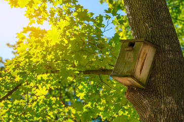 Little wooden birdhouse on the tree in a city park