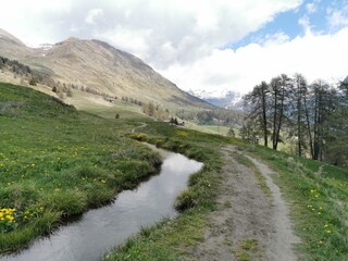 Mountain hiking path along a creek the Ru Curtod in the italian Alps in Valle d'Aosta near Monte Rosa