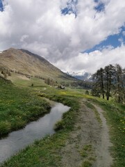 Fototapeta na wymiar Mountain hiking path along a creek the Ru Curtod in the italian Alps in Valle d'Aosta near Monte Rosa