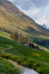 Fototapeta na wymiar Mountain hiking path along a creek the Ru Curtod in the italian Alps in Valle d'Aosta near Monte Rosa