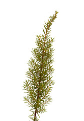 Developed using darktable 3.2.1