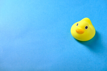 Yellow baby duck for the bathroom, on a blue background, side view