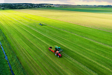 Forage harvester during grass cutting for silage in field. Harvesting biomass crop. Self-propelled...