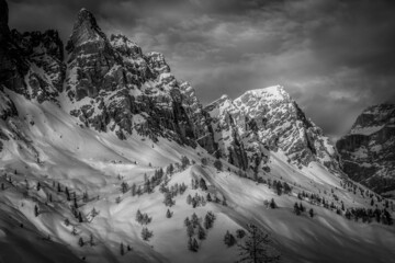 Black and white panorama of snow-covered slopes with larches at the foot of imposing Dolomite walls. Rocchetta ridge, San Vito di Cadore, Italy
