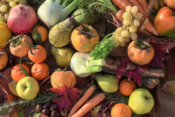 autumn still life with fruits and vegetables - view from above