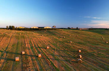 Haystack on field on sunset sky. Hay bale from residues grass. Hay stack for agriculture. Hay in...