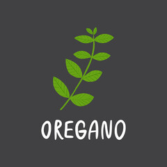 Oregano branch with lettering. Flat hand drawn italian herb for cooking isolated on dark background. Fresh green organic seasoning vector illustration.
