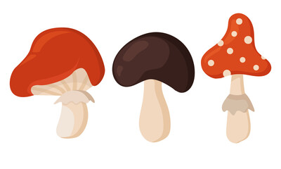 Autumn mood. Vector set of different types of mushrooms. Colored trendy illustrations. Flat design. Stamp texture. All elements are isolated.