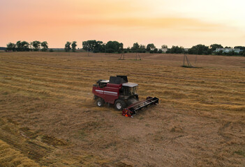 Obraz premium Combine harvester in wheat field on sunset. Agricultural machine during cutting crop. Combines during grain harvesting. Flour and bread production. Silage and hay harvesting in farmers country.