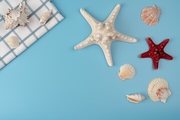Fototapeta na wymiar Flat lay composition with beautiful starfishes and sea shells on blue background