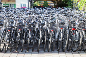 Group of bicycles parked in a bike rental