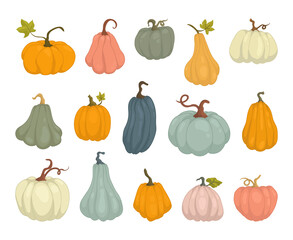 Pumpkins multicolored big set for the harvest festival drawn in a cartoon style. Kids clothing design, halloween, icon or sticker