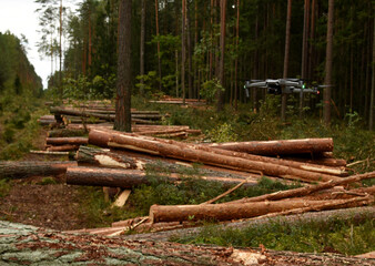 Drone at forest near of cut trees. Quadcopter tracking illegal deforestation. Drones at service of environmental. Droneseed reforestation project. Control forests&rsquo; situation. Monitoring ecosystem.