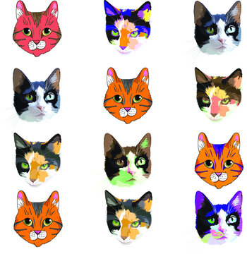 Vector cats. Portraits of cats. For printing on fabric.