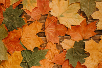 The concept of autumn backgrounds. Dry maple and acorn leaves on a wooden background with a copy of...