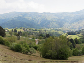 Landschaft von Zeller Berglandes und Zeller Blauen oberhalb der stadt Zell im Wiesental südlich...