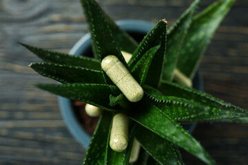 Aloe plant with capsule pills on wooden background