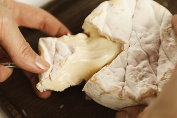 Camembert