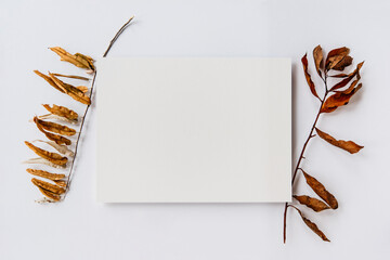 Blank paper