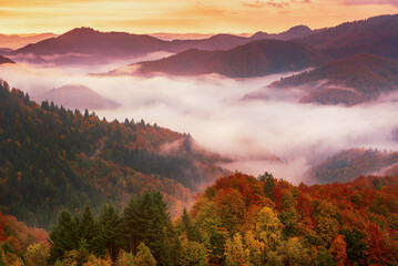 Misty mountain landscape