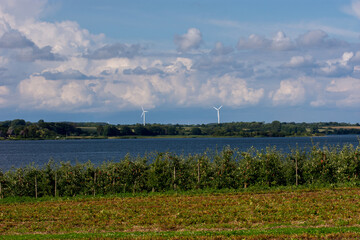 Fototapeta na wymiar Windmills and lake