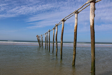 Matalascañas beach Doñana National Park