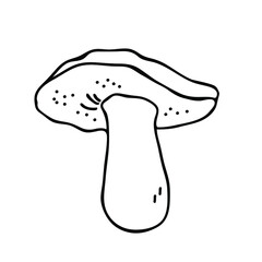 Forest mushroom. Hand draw.  Vector on a white background. Logo. 