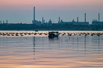Evening water industrial view from around Mare Piccolo, Taranto, Brindisi, Italy. The lovely colors of the blue hour. Travel picture with fishing equipment and steel factory cranes in the background - obrazy, fototapety, plakaty