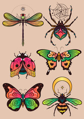 Collection of fantasy colorful insects for design. Vector graphics.