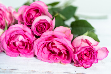 Pink roses