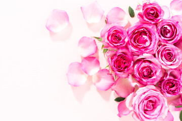 Pink roses
