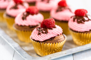 Chocolate raspberry cupcakes