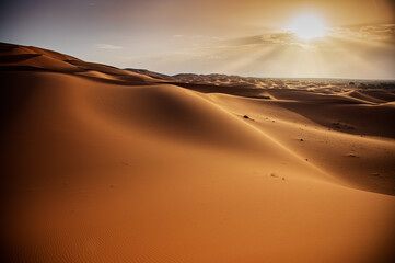Pustynia Sahara, wydmy - obrazy, fototapety, plakaty