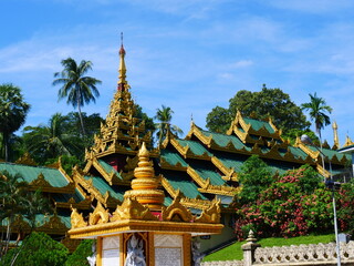 Fototapeta premium yangon, Myanmar - November, 2019 : The Shwedagon Pagoda is one of the most famous pagodas in the world and it is certainly the main attraction of Yangon, Myanmar's capital city